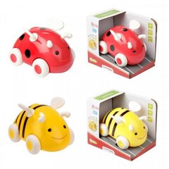 LITTLE STARS Baby bug car +L-S fricton 2ass cena un informācija | Rotaļlietas zēniem | 220.lv