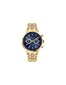 Vīriešu pulkstenis Trussardi R2453147002 цена и информация | Vīriešu pulksteņi | 220.lv