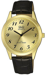Aналоговые часы Q&Q C152J103 цена и информация | Мужские часы | 220.lv