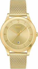 Мужские часы Hugo Boss 1513982 цена и информация | Мужские часы | 220.lv