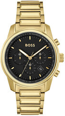 Мужские часы Hugo Boss 1514006 цена и информация | Hugo Boss Для мужчин | 220.lv