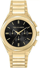 Trussardi Большой наручный хроно R2453156001 цена и информация | Мужские часы | 220.lv