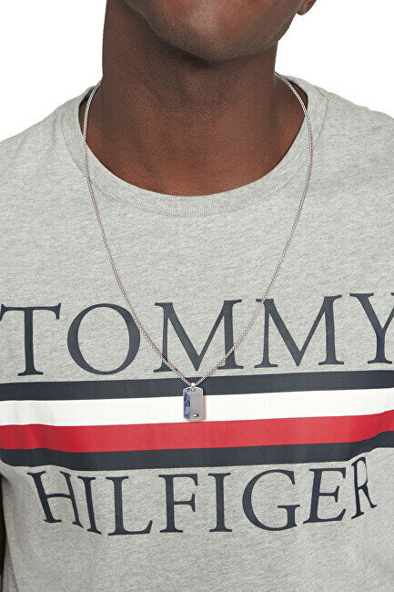 Tommy Hilfiger Moderna tērauda kaklarota ar militāro zīmi 2790437 cena un informācija | Vīriešu rotaslietas | 220.lv