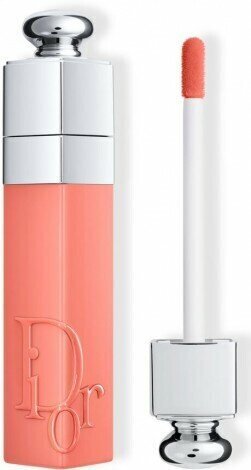 Lūpu krāsa Dior Addict Lip Tint Tinte De Labios 351 Nude, 5 ml cena un informācija | Lūpu krāsas, balzāmi, spīdumi, vazelīns | 220.lv