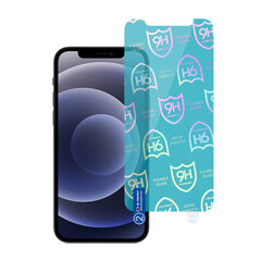 Ekrāna aizsargs Best Flexible Hybrid - iPhone 11 / XR цена и информация | Защитные пленки для телефонов | 220.lv