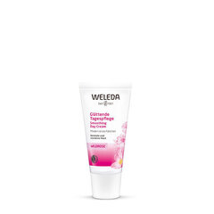 Nomierinošs dienas sejas krēms Weleda Wild Rose Smoothing Day Cream, 30 ml cena un informācija | Sejas krēmi | 220.lv