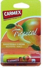 Бальзам для губ Carmex Tropical, 4,25 г цена и информация | Помады, бальзамы, блеск для губ | 220.lv