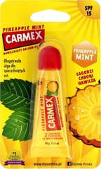 Aizsargājošs lūpu balzāms Carmex Pineapple Mint, 10 g цена и информация | Помады, бальзамы, блеск для губ | 220.lv