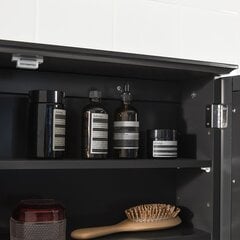 Шкафчик для ванной SoBuy BZR55-DG, серый цена и информация | Шкафчики для ванной | 220.lv