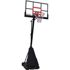 Basketbola statīvs Pure2Improve cena un informācija | Basketbola statīvi | 220.lv