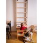 Bērnu kāpnes mājām BenchK 112 cena un informācija | Zviedru sienas | 220.lv