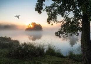 Consalnet Фотообои флизелиновые Nature 312x219 cm 14521VEXXL цена и информация | Фотообои | 220.lv