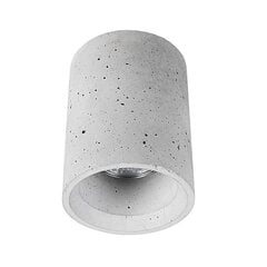Потолочный светильник SHY S, серый цена и информация | Потолочные светильники | 220.lv