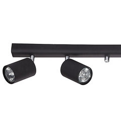 Настенный/подвесной светильник Eye Spot 11 BL, чёрный цена и информация | Люстры | 220.lv