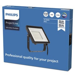 Prožektoru projektors Philips ProjectLine 4750 Lm 50 W 6500 K цена и информация | Уличное освещение | 220.lv