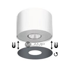 Потолочный светильник, белый цена и информация | Потолочные светильники | 220.lv