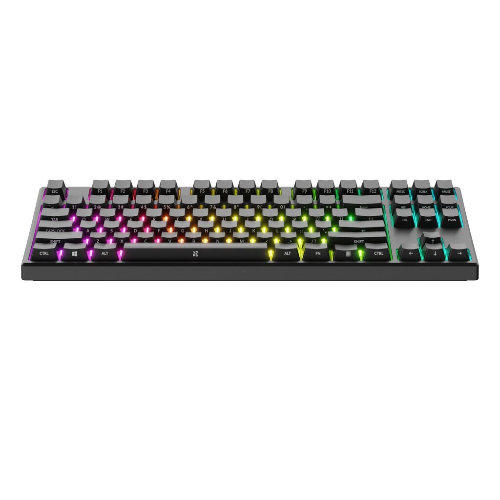 DreamKey TKL RGB cena un informācija | Klaviatūras | 220.lv