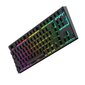 DreamKey TKL RGB cena un informācija | Klaviatūras | 220.lv