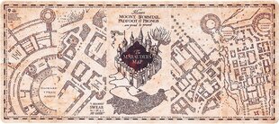 Harry Potter XL cena un informācija | Datorspēļu suvenīri | 220.lv