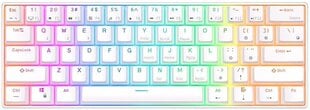 Royal Kludge RK61 TKL tastatūra | 60%, Hot-swap, Blue Switches, US, balts цена и информация | Клавиатуры | 220.lv