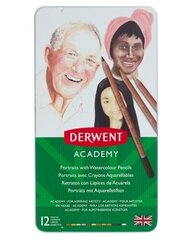 Акварельные карандаши для портретов Derwent Academy, 12 шт. цена и информация | Принадлежности для рисования, лепки | 220.lv