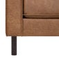 Sofa LUCAS 2-seater, brown цена и информация | Dīvāni | 220.lv