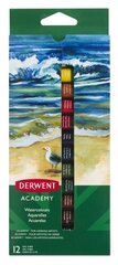 Akvareļu krāsas Derwent Academy, 12 gab. cena un informācija | Modelēšanas un zīmēšanas piederumi | 220.lv