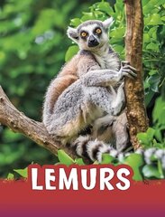 Lemurs cena un informācija | Enciklopēdijas, uzziņu literatūra | 220.lv