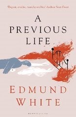 Previous Life: Another Posthumous Novel цена и информация | Фантастика, фэнтези | 220.lv