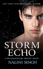 Storm Echo: Book 6 цена и информация | Фантастика, фэнтези | 220.lv