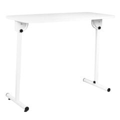 Складной маникюрный стол MOBILE DESK FOLDING цена и информация | Мебель для салонов красоты | 220.lv