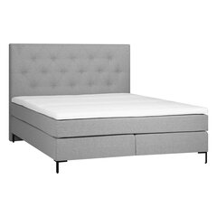 Bed LEONI 160x200cm, grey цена и информация | Кровати | 220.lv