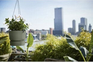 Подвесной горшок для растений Elho Greenville Зеленый Пластик (Ø 23,9 x 20,3 cm) цена и информация | Вазоны | 220.lv