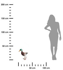 Dārza dekors, 36 cm cena un informācija | Dārza dekori | 220.lv