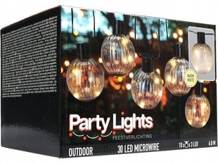 Āra vītne 10 LED 680 cm цена и информация | Уличное освещение | 220.lv