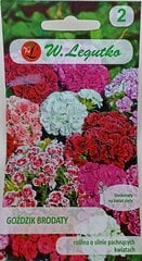 Студенческие гвоздики Pinnocchio цена и информация | Семена цветов | 220.lv