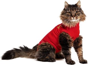 Рубашка для домашних животных MPS Katze, ROT, XXXS цена и информация | Одежда для собак | 220.lv