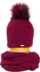 Комплект женской кепки и туннеля 595840 цена и информация | Женские шапки | 220.lv