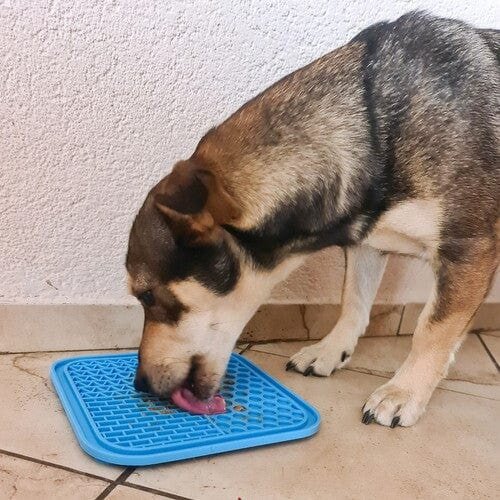 Lēnas ēšanas un laizīšanas paklājiņš suņiem Purlovs (zils цена и информация | Bļodas, kastes pārtikas | 220.lv