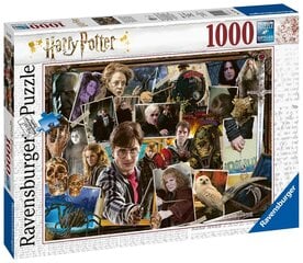 Гарри Поттер: Гарри Поттер: vs Волан-де-Морт Пазл, 1000 деталей цена и информация | Пазлы | 220.lv