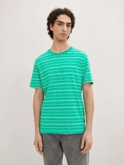 Tom Tailor мужская футболка 1035594*31374, зелёный/белый 4065869819398 цена и информация | Мужские футболки | 220.lv