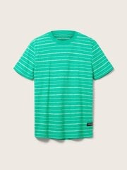 Tom Tailor мужская футболка 1035594*31374, зелёный/белый 4065869819398 цена и информация | Мужские футболки | 220.lv