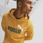 Puma Džemperi Ess+ 2 Col Big Logo Yellow 586765 30 586765 30/M cena un informācija | Vīriešu jakas | 220.lv