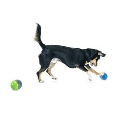 RICOHET elektroniskā rotaļlieta suņiem цена и информация | Игрушки для собак | 220.lv