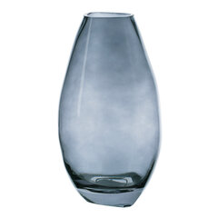 стеклянная ваза, 13,5x12x25,5 см цена и информация | Вазы | 220.lv