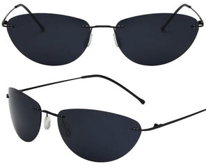 Vīriešu saulesbrilles V66 cena un informācija | Saulesbrilles  vīriešiem | 220.lv