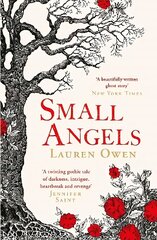 Small Angels: 'A twisting gothic tale of darkness, intrigue, heartbreak and revenge' Jennifer Saint cena un informācija | Fantāzija, fantastikas grāmatas | 220.lv