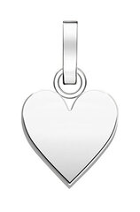 Rosefield Романтическая стальная подвеска Heart The Pendant PE-Silver-Heart цена и информация | Украшения на шею | 220.lv