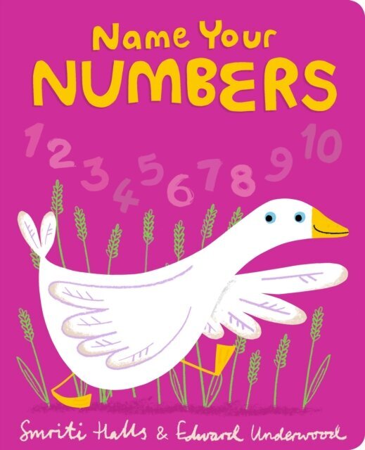 Name Your Numbers cena un informācija | Stāsti, noveles | 220.lv