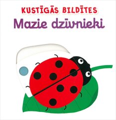 Kustīgās bildītes. Mazie dzīvnieki цена и информация | Книги для детей | 220.lv